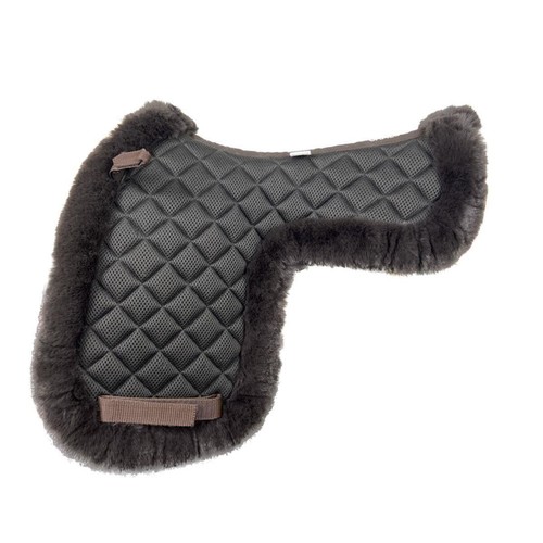 Cameo equine performance - cameo,